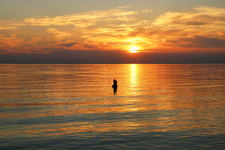 Silhouette person on sea against sky during sunset