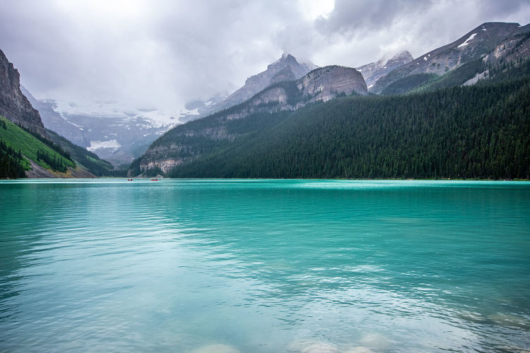 A cloudy cold day in lake louise, alberta. view against the turquoise blue waters, trees, mountains.