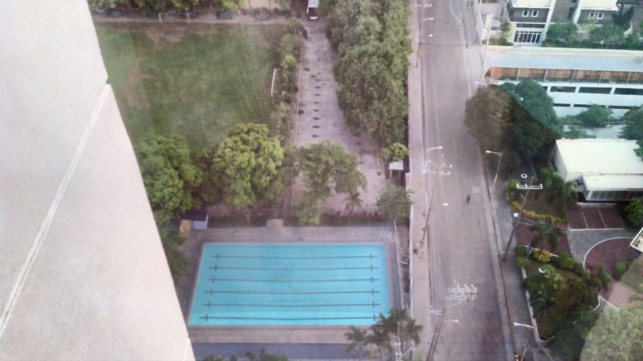 Swimming pool by trees