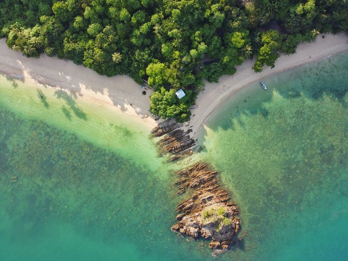 High angle view of plants by sea