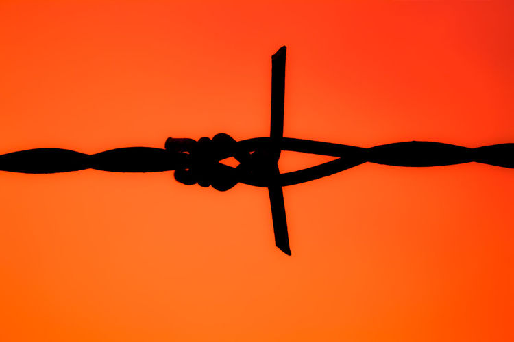 Close-up of silhouette barbed wire against orange sky