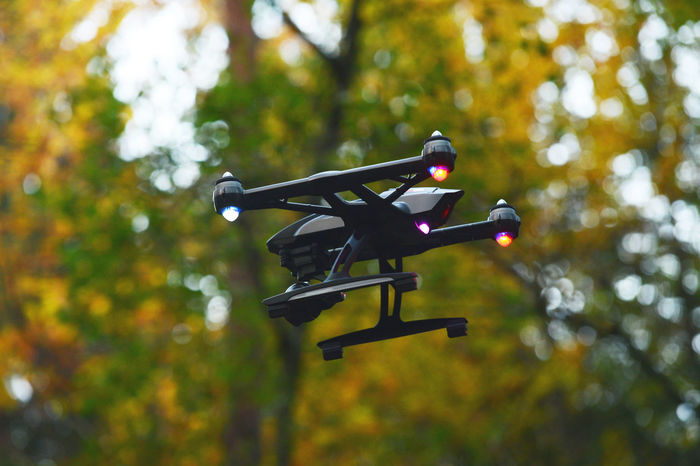 Low angle view of drone against tree