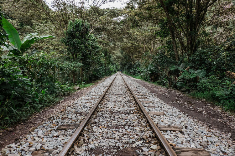 Train tracks on the way from hydroelectrica to aguas calientes in peru