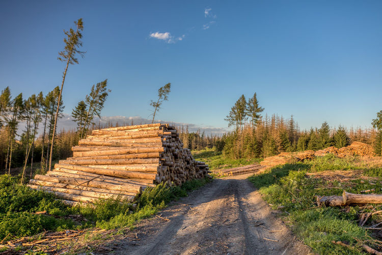 Stack of logs on road amidst trees in field against sky