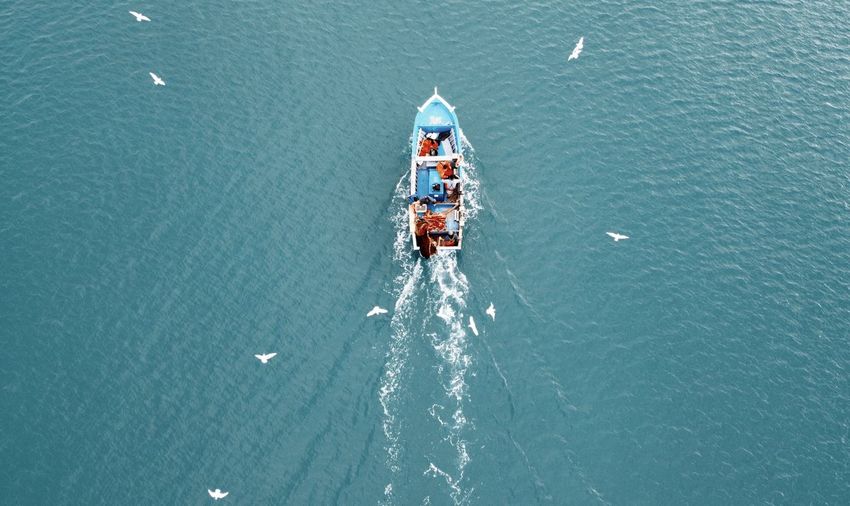 Directly above shot of people in fishing boat