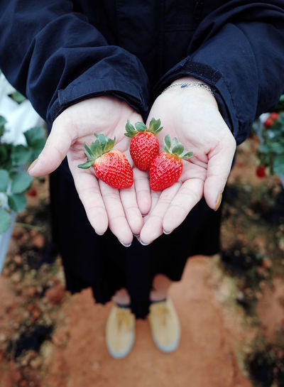 High angle view of hand holding strawberries