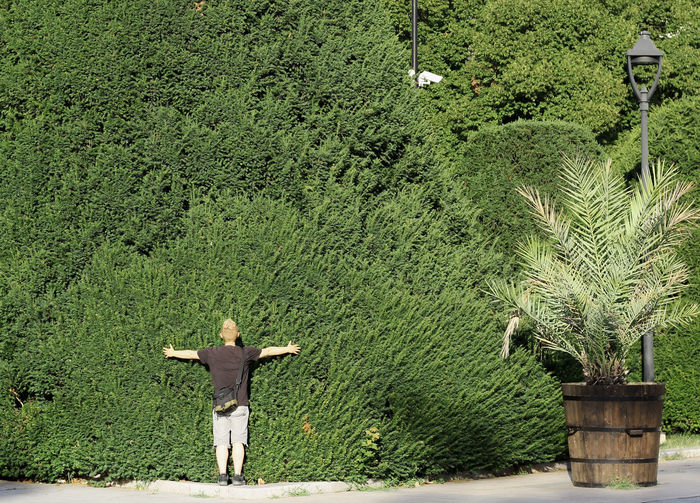 Rear view of man standing by plants