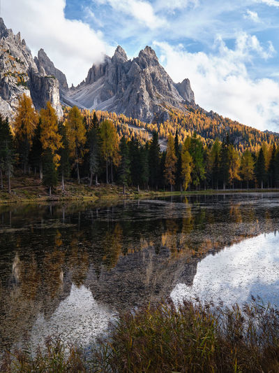 Scenic view of lake by trees against sky