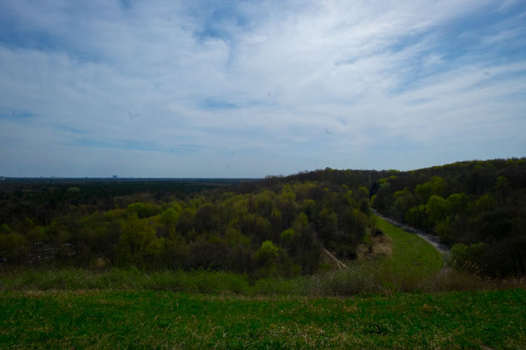 Scenic view of landscape against sky