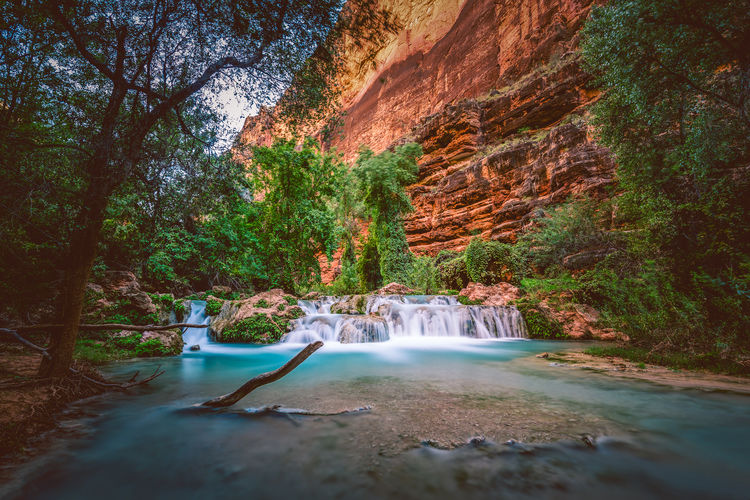 View of waterfall along trees