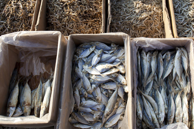 Full frame shot of dried seafood in boxes at fish market
