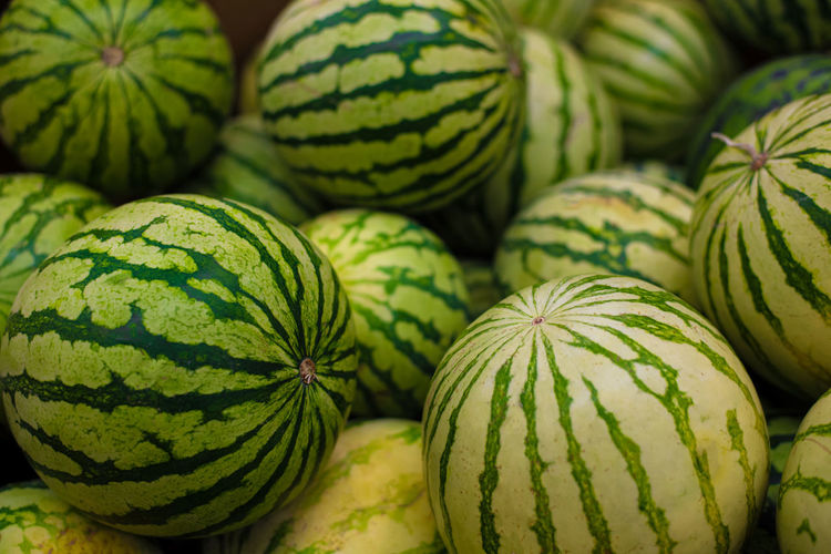 Full frame shot of pumpkins