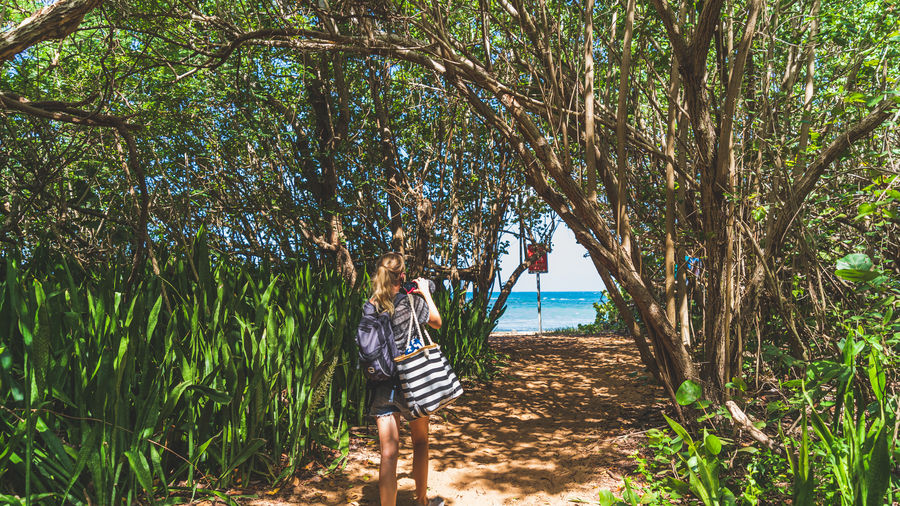 Rear view of woman walking on footpath