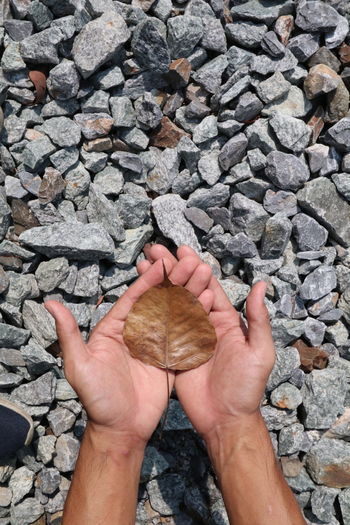 Cropped hands of person holding leaf on rocks