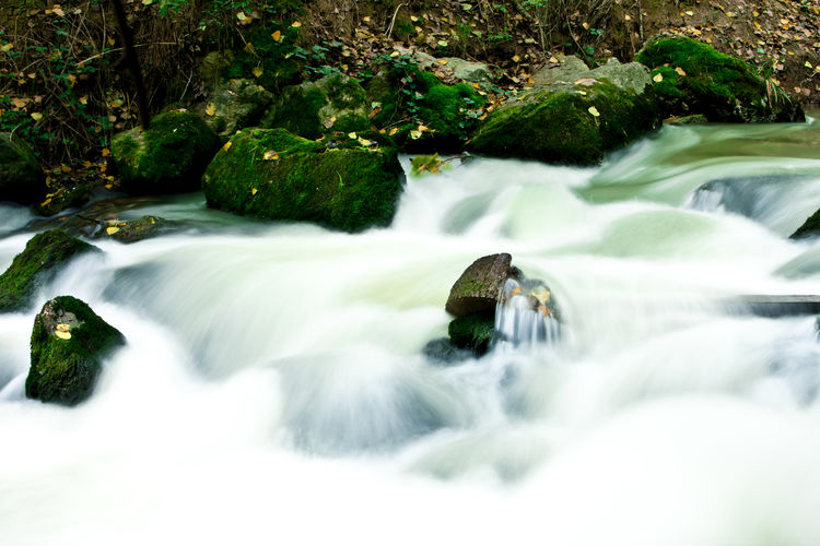 Scenic view of waterfall in forest