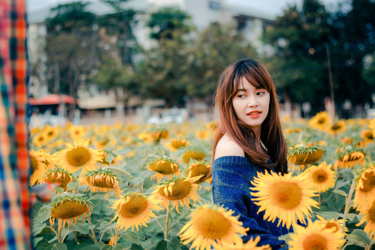 Woman standing in sunflower field