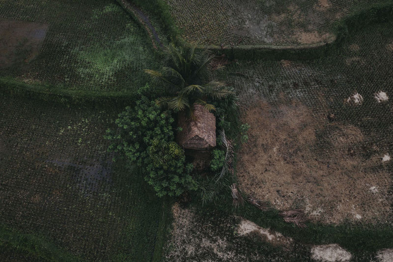 Aerial view of hut on field