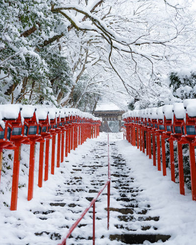 Snow covered footpath by fence during winter