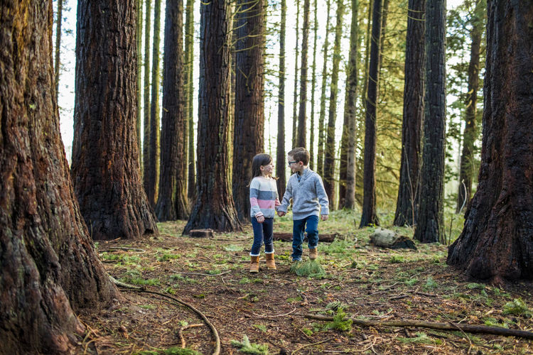 Young kids holding hands in the forest.