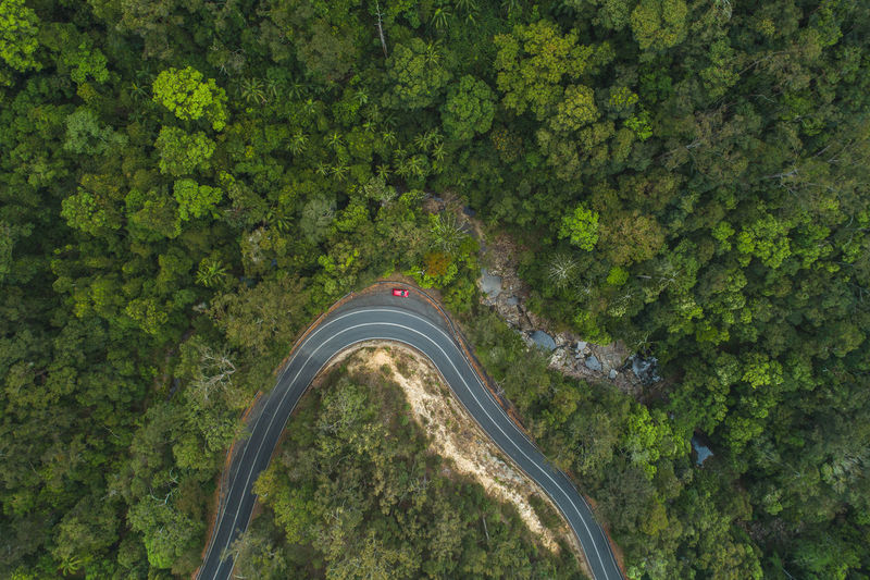 High angle view of road amidst trees in forest
