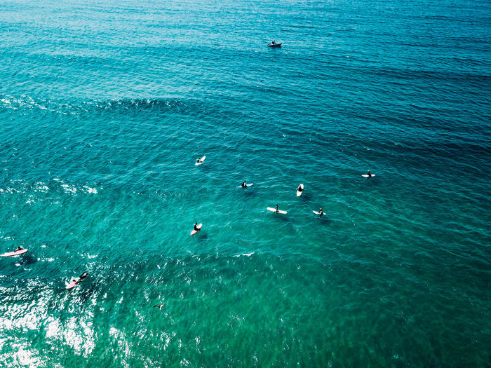 High angle view of people surfing at beach