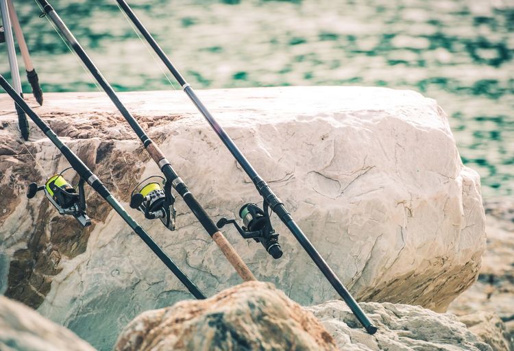Close-up of fishing rods