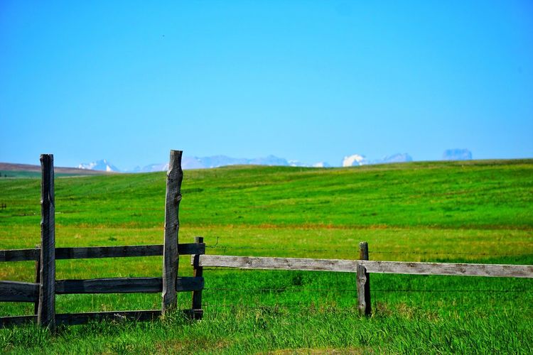 Wooden fence in field against clear blue sky