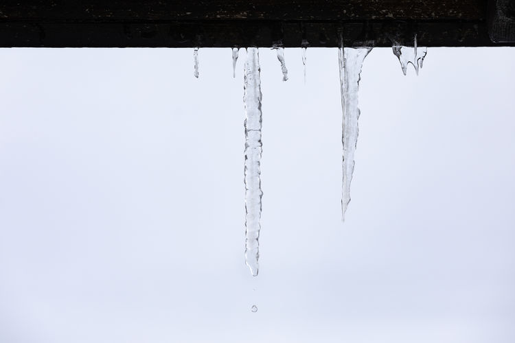 Icicles hanging against clear sky
