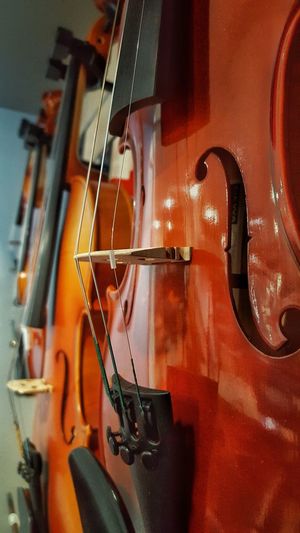 Close-up of violins for sale in shop