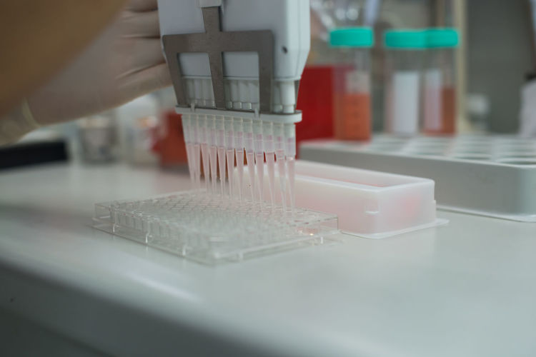 Cropped hands of biologist holding pcr device while pouring liquid in plastic container at laboratory