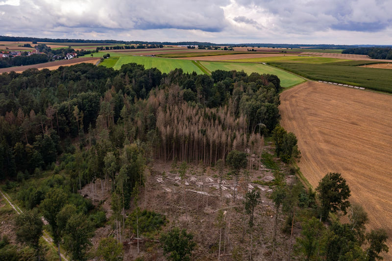 The forest dieback in a german forest at the edge of the field from a bird's eye view