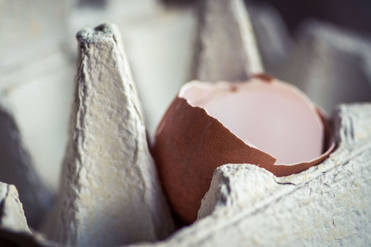 Close-up of eggshell in carton
