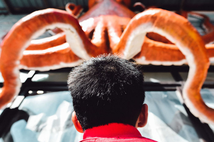 Rear view of man by octopus