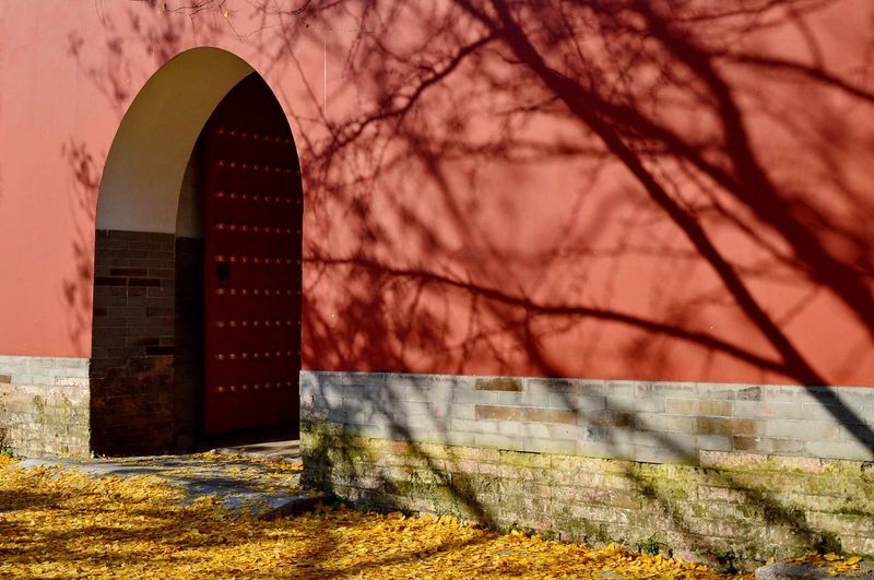 Shadows on wall with arched entrance