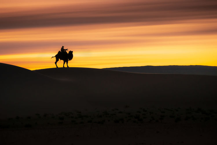 Silhouette man riding camel against sky during sunset