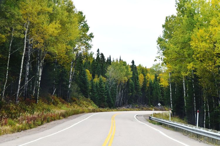 Country road amidst trees in forest against sky
