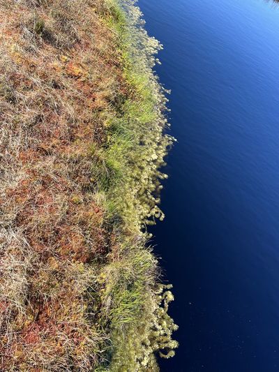 nature