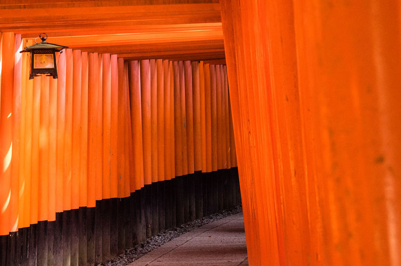Torii gate at fushimi inari-taisha