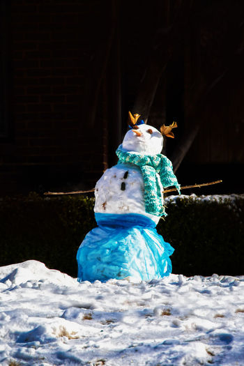 Snowman on land