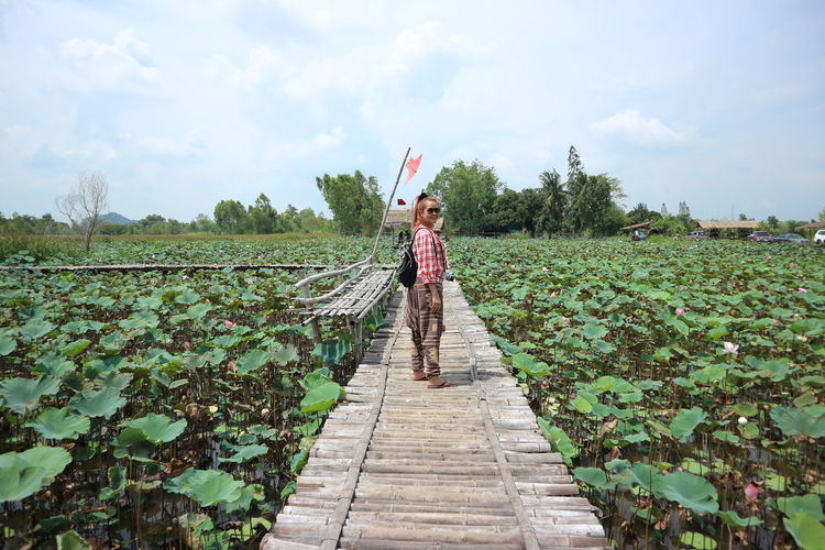 Portrait of woman standing on wooden bridge at lotus farm