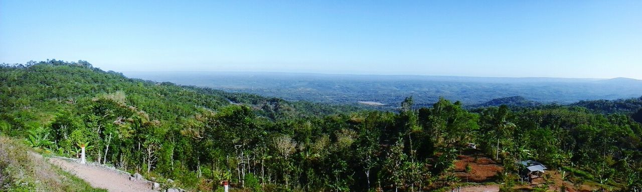 Follow back 🙋 [indo] | EyeEm - 1280 x 383 jpeg 78kB