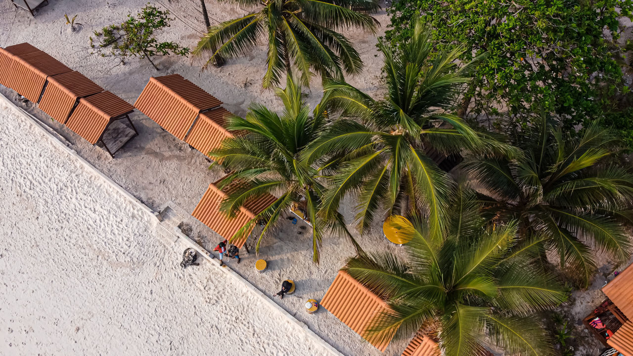 HIGH ANGLE VIEW OF PALM TREES BY BUILDING