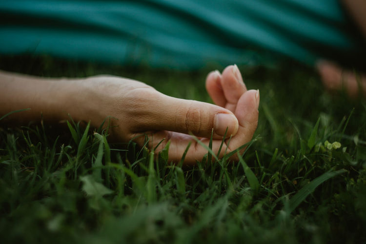 Close-up of hand on grassy land