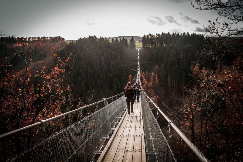 Rear view of people walking on footbridge amidst plants