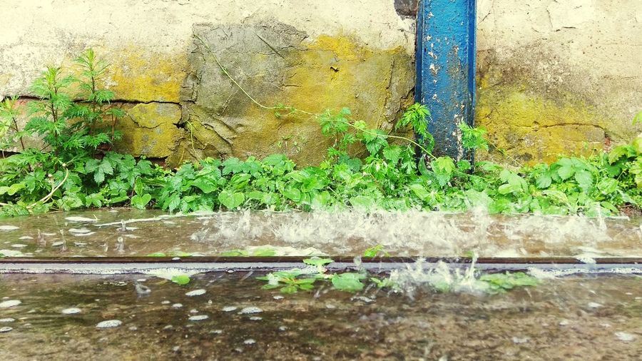 Surface level of water against wall