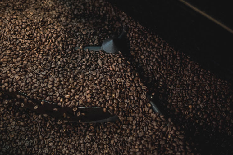 High angle view of coffee beans on grinder