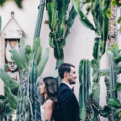 Young couple looking at plants