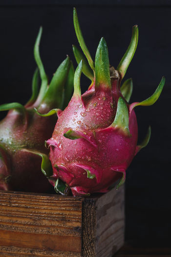 Close-up of wet dragon fruits in crate against black background