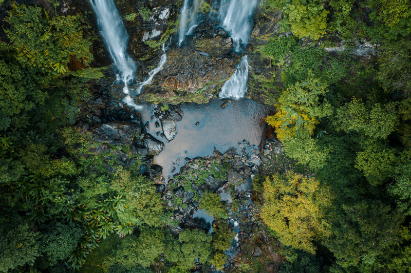 High angle view of water flowing through rocks in forest