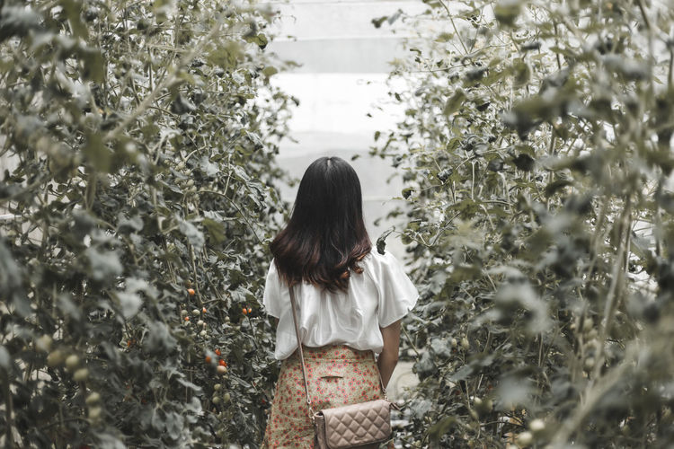 Rear view of woman standing amidst tomato plants at farm